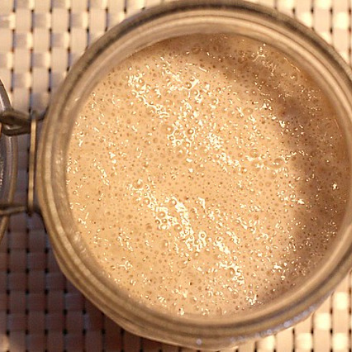 cocinar masa madre sin gluten